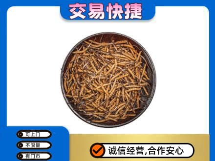 拉萨市高价回收散虫草